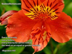 napoleon_hill_quotes Quotes 2
